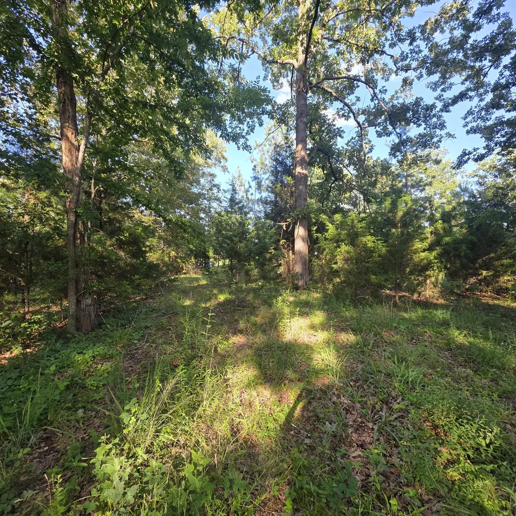 999 Valhalla Lane Benton KY 42025