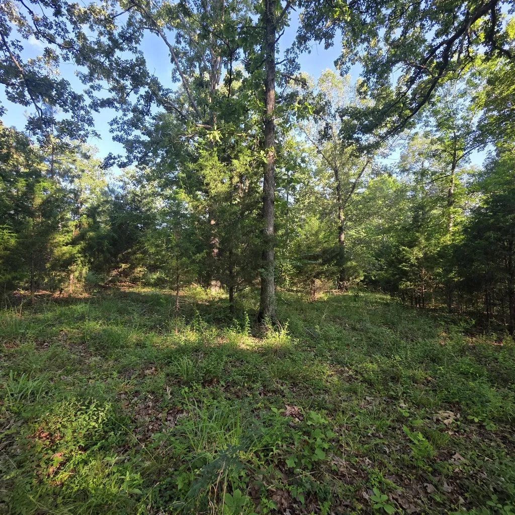999 Valhalla Lane Benton KY 42025