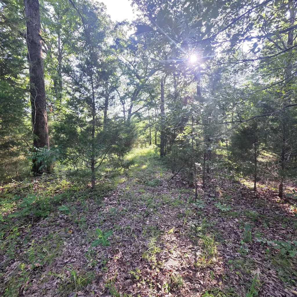 999 Valhalla Lane Benton KY 42025