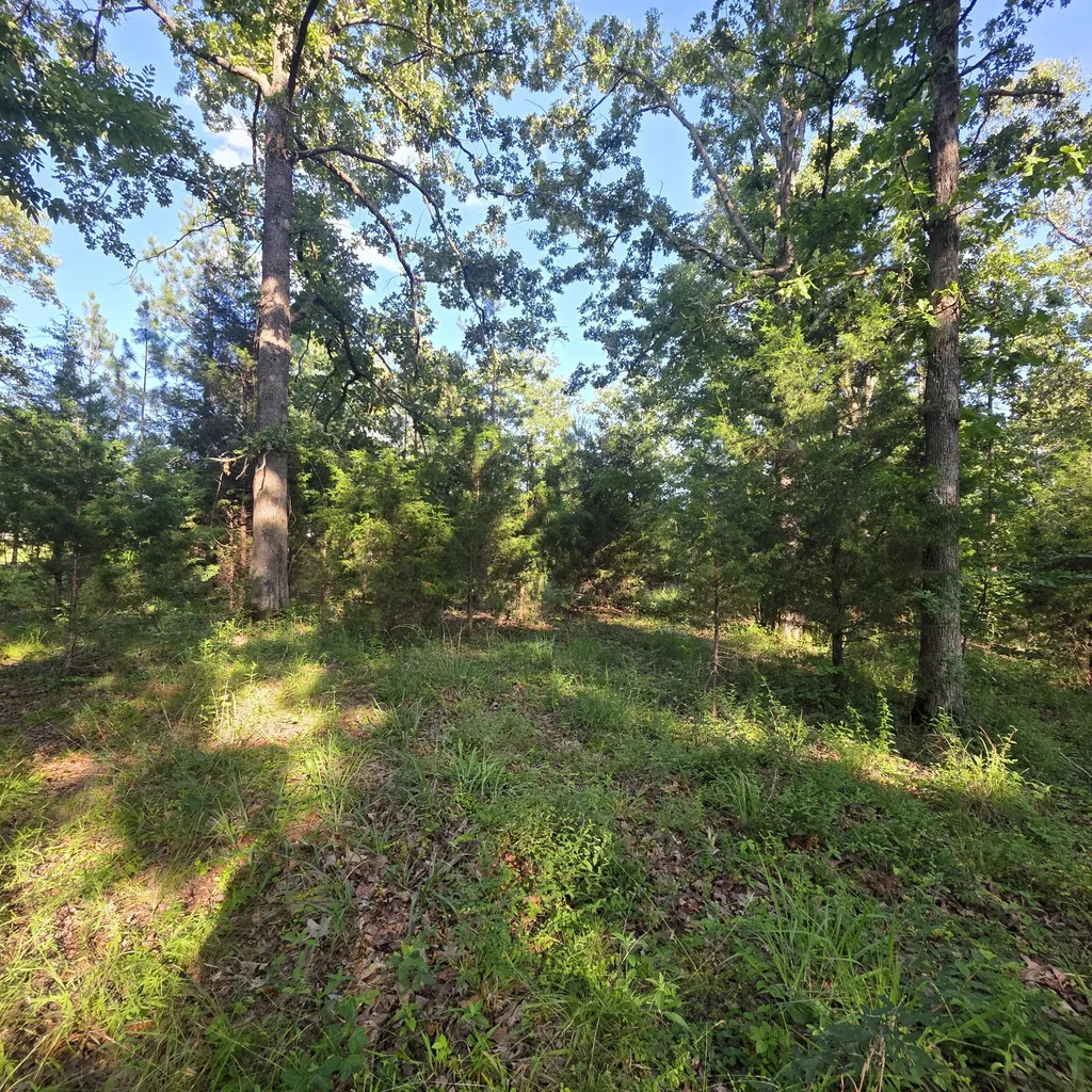 999 Valhalla Lane Benton KY 42025