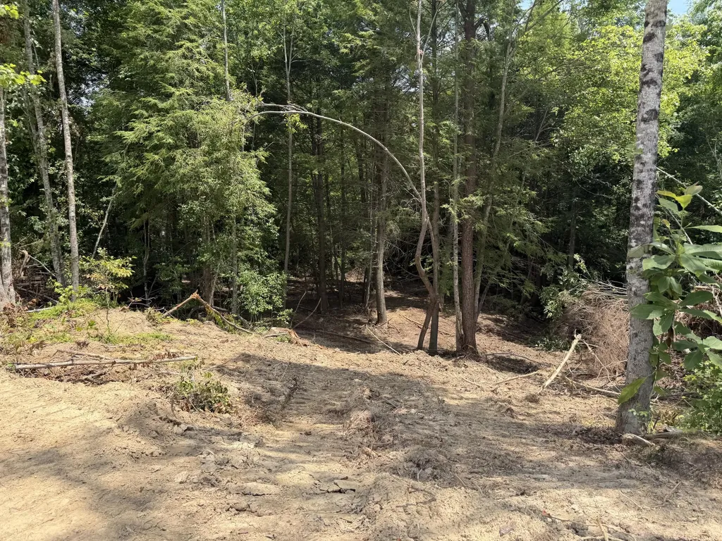 6666 Gibson Lane Williamsburg KY 40769