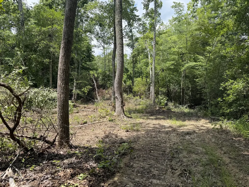 4444 Gibson Lane Williamsburg KY 40769