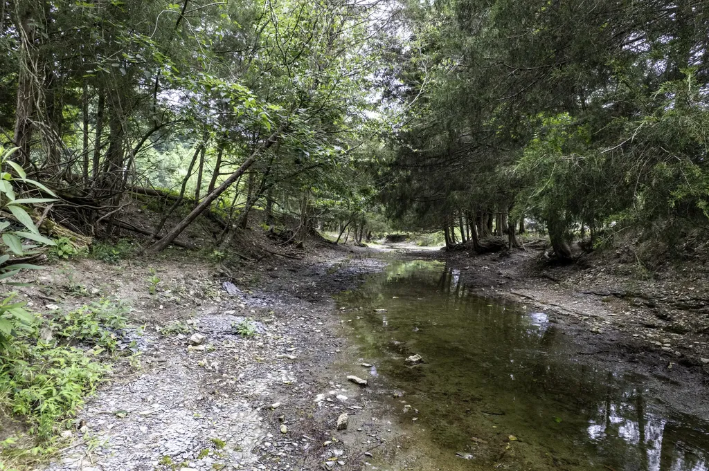 2000 2000 Gosser Ridge Road Liberty KY 42539