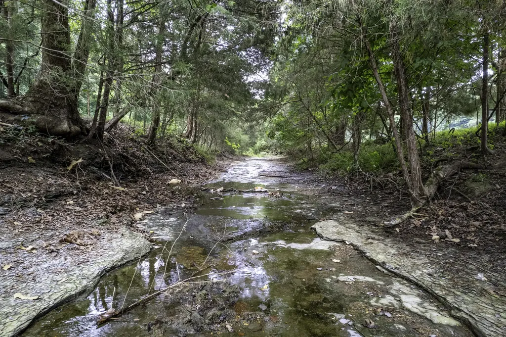 2000 2000 Gosser Ridge Road Liberty KY 42539
