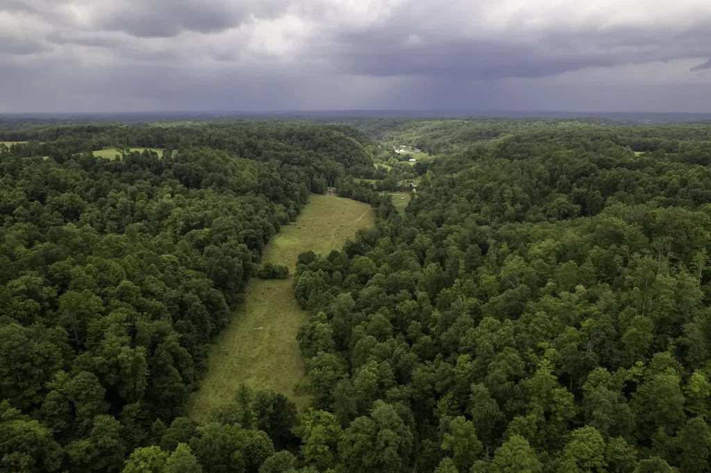 2000 2000 Gosser Ridge Road Liberty KY 42539