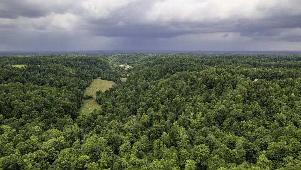 2000 2000 Gosser Ridge Road Liberty KY 42539