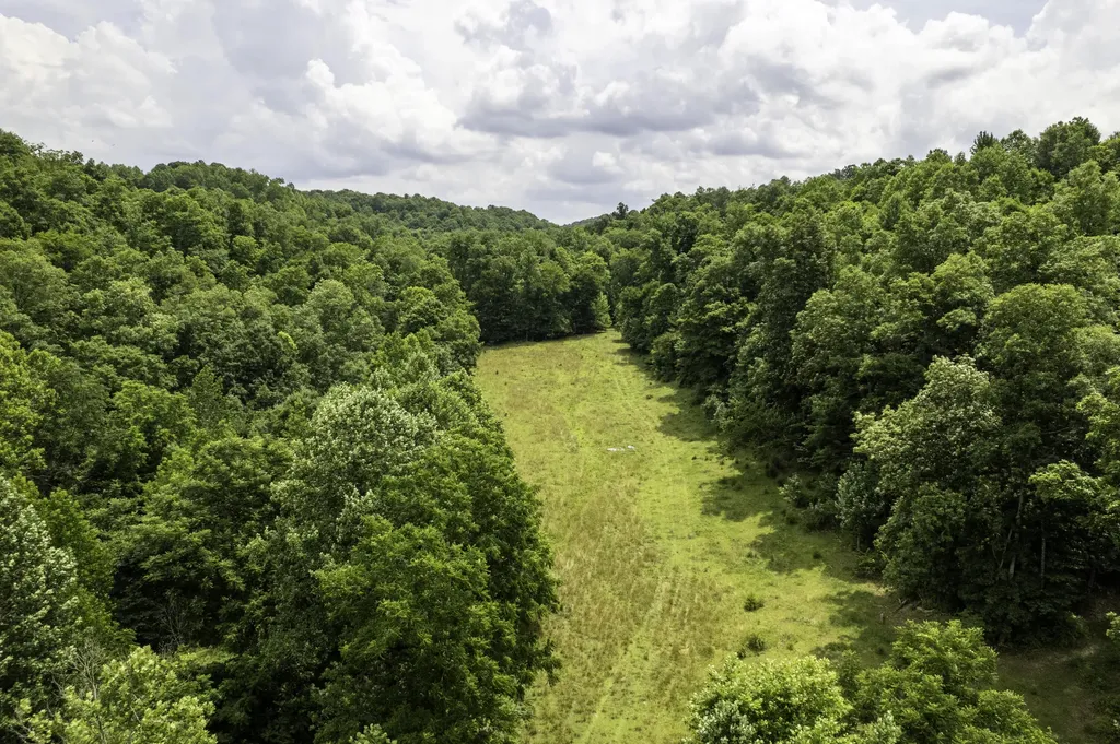 2000 2000 Gosser Ridge Road Liberty KY 42539