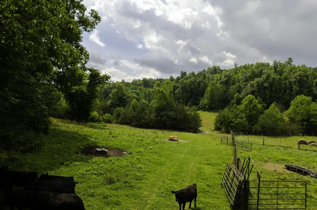 2000 2000 Gosser Ridge Road Liberty KY 42539