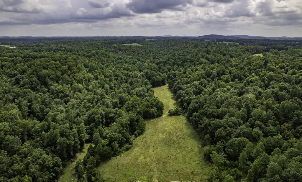 2000 2000 Gosser Ridge Road Liberty KY 42539