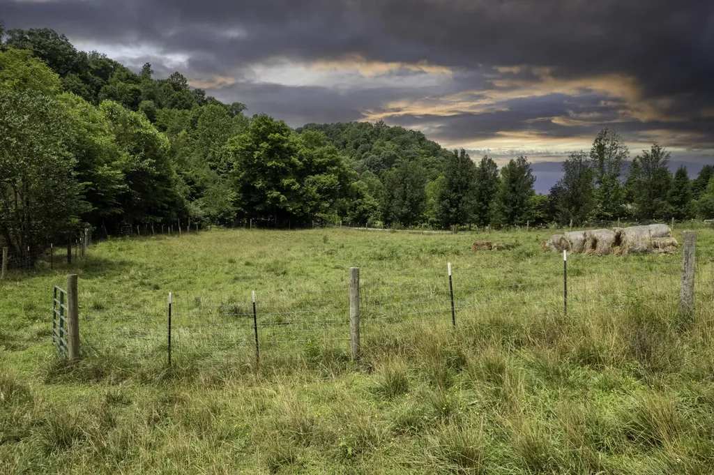 2000 2000 Gosser Ridge Road Liberty KY 42539