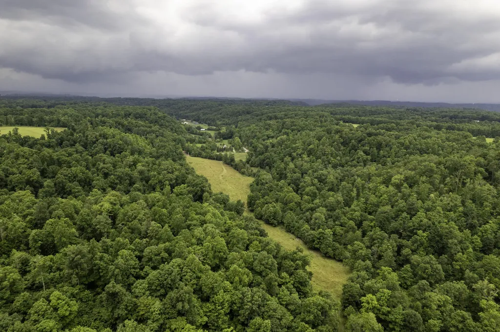 2000 2000 Gosser Ridge Road Liberty KY 42539