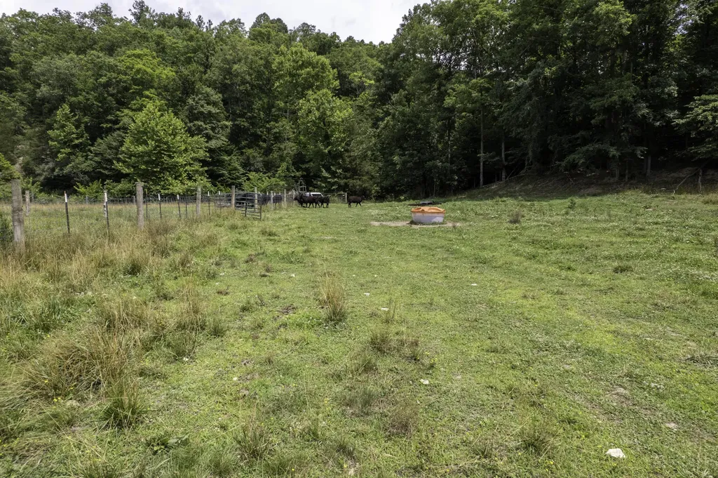 2000 2000 Gosser Ridge Road Liberty KY 42539