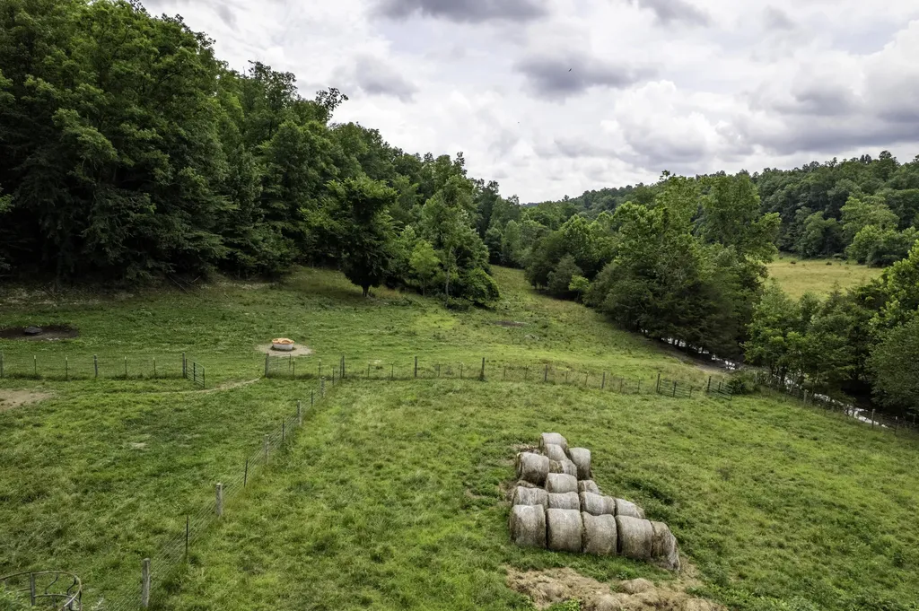 2000 2000 Gosser Ridge Road Liberty KY 42539