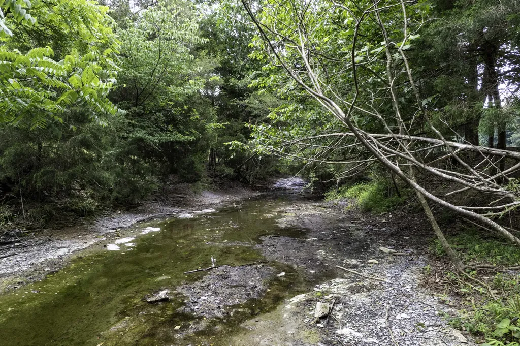 2000 2000 Gosser Ridge Road Liberty KY 42539