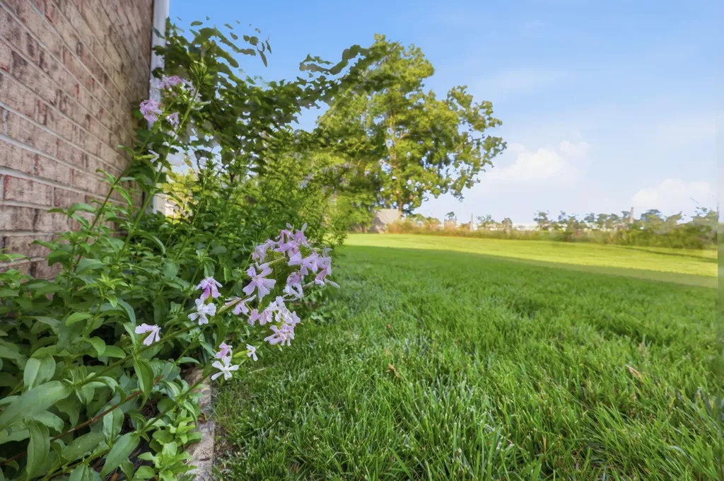 250 Savannah Drive Nicholasville KY 40356