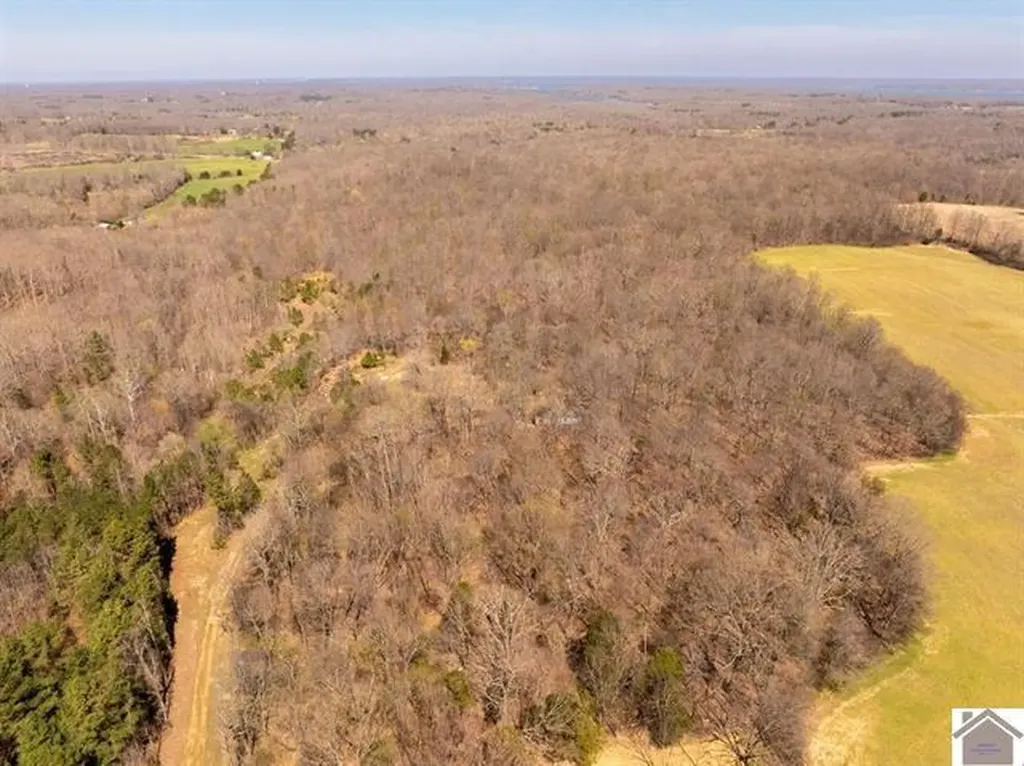 206 Stonebrook Lane Benton KY 42025