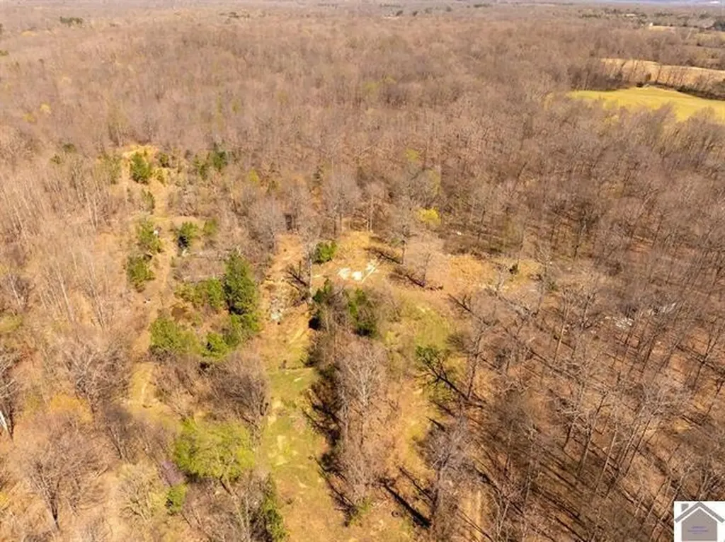 206 Stonebrook Lane Benton KY 42025