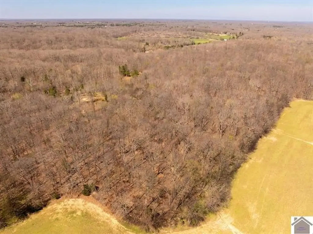 206 Stonebrook Lane Benton KY 42025