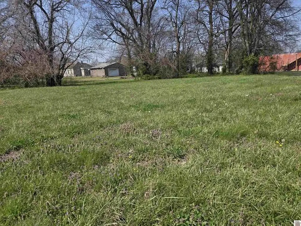 1133 S 3rd Street Paducah KY 42001