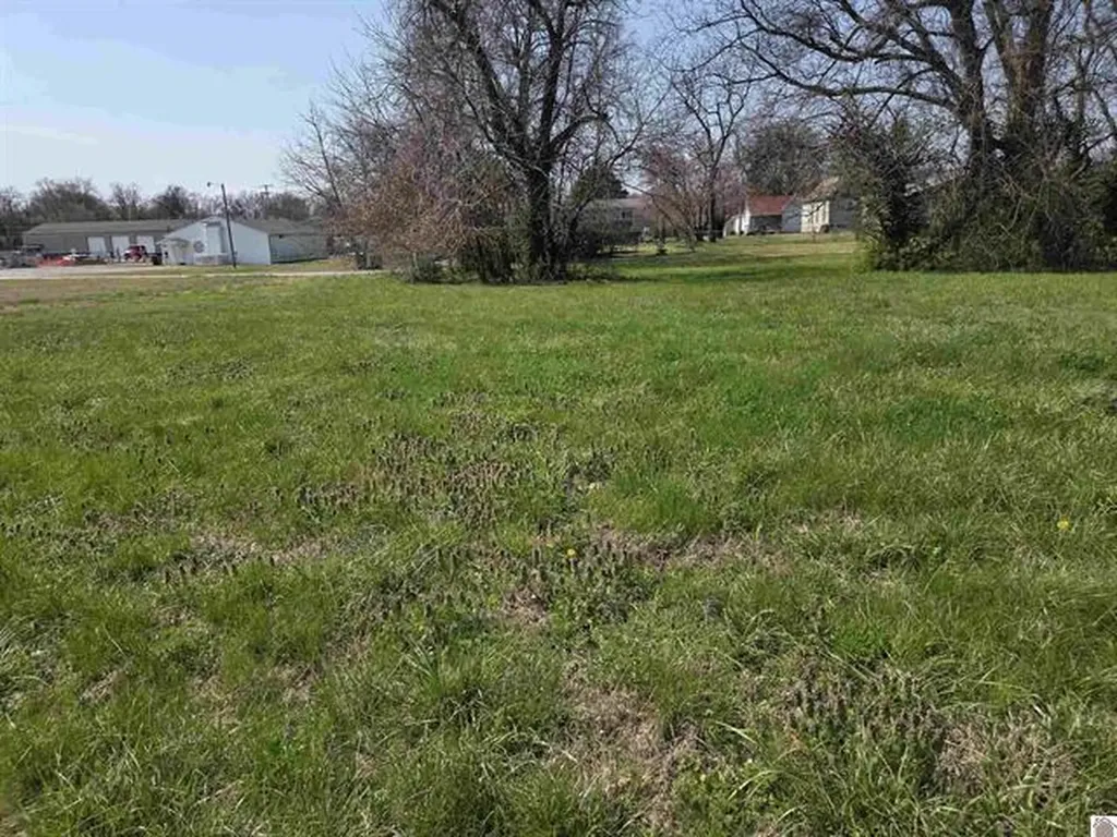 1133 S 3rd Street Paducah KY 42001