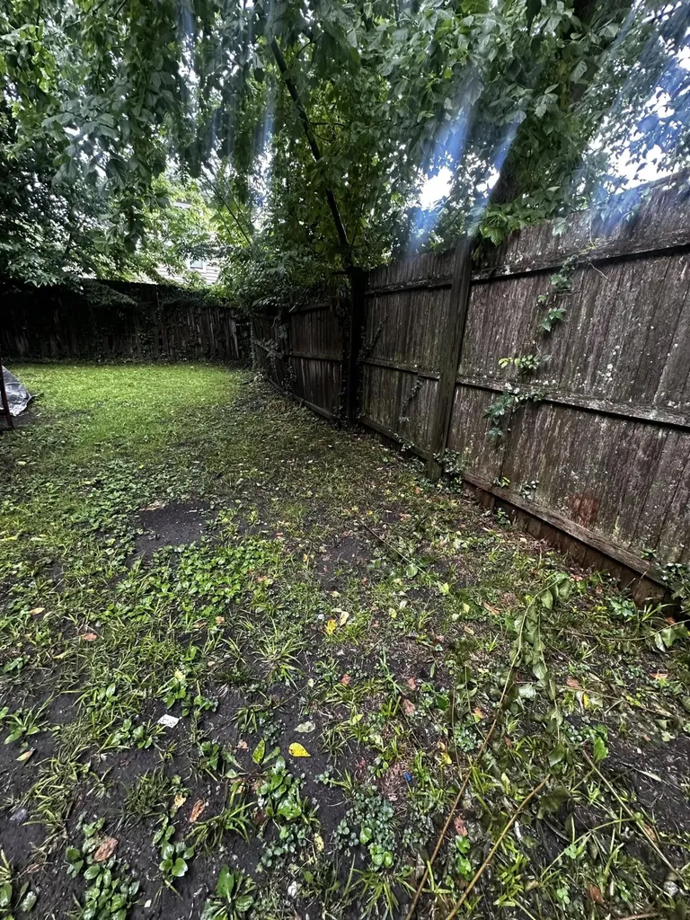 439 Campbell Street Lexington KY 40508