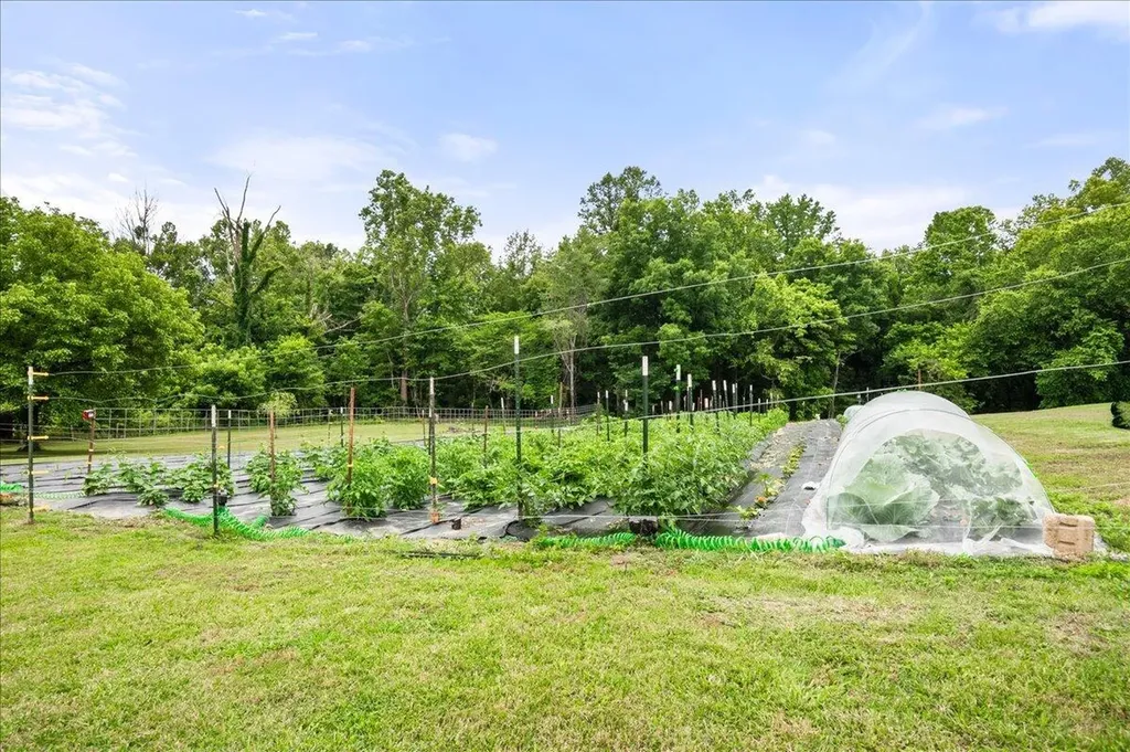 6985 Old Mountain Ash Pike Williamsburg KY 40769