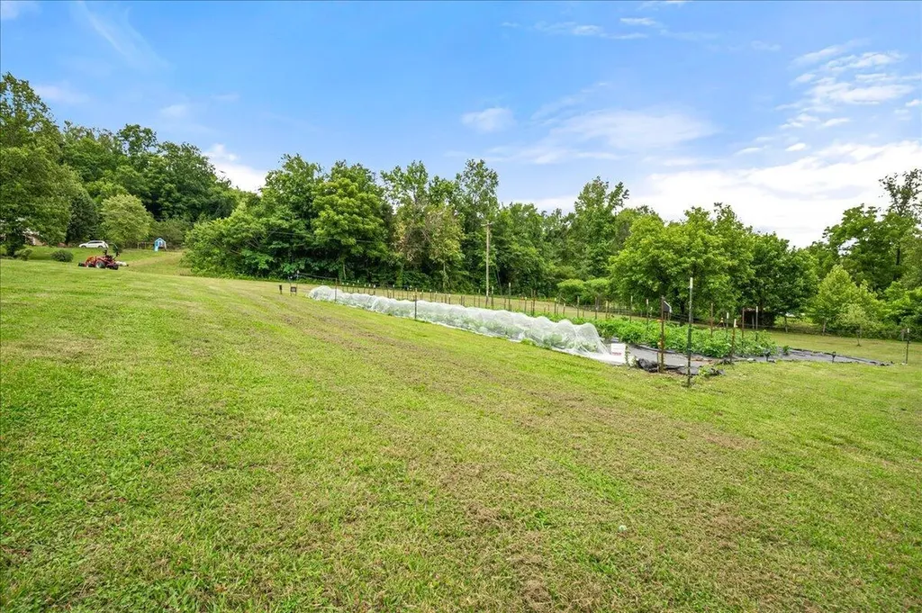 6985 Old Mountain Ash Pike Williamsburg KY 40769