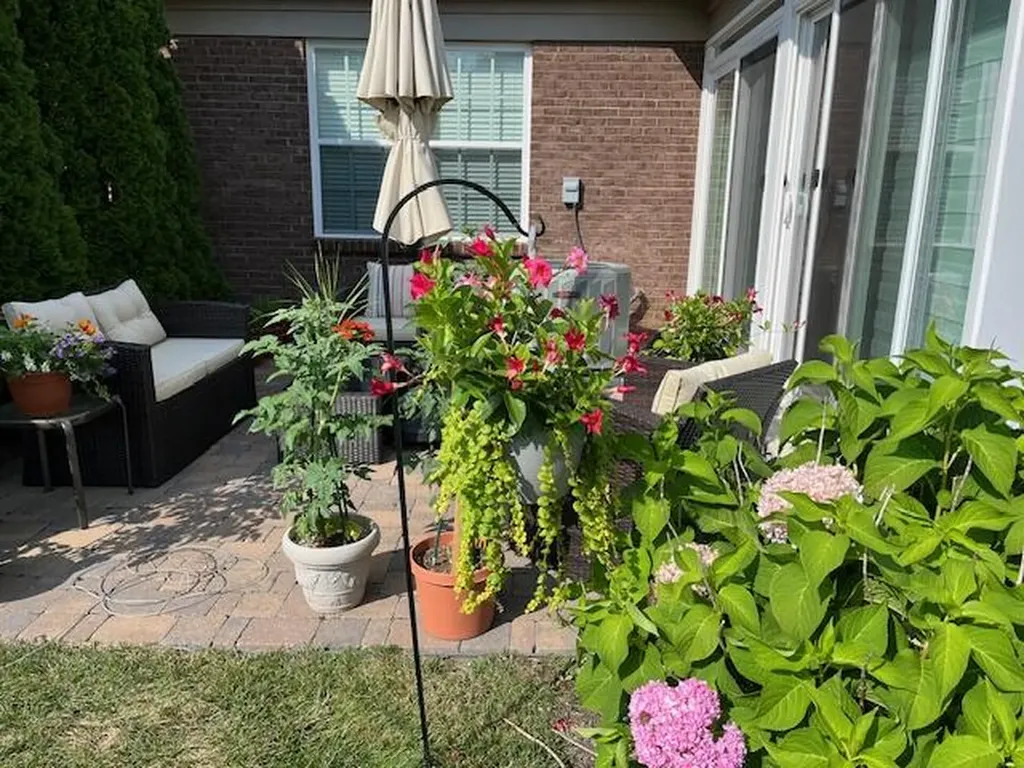 3532 Rabbits Foot Trail Lexington KY 40503