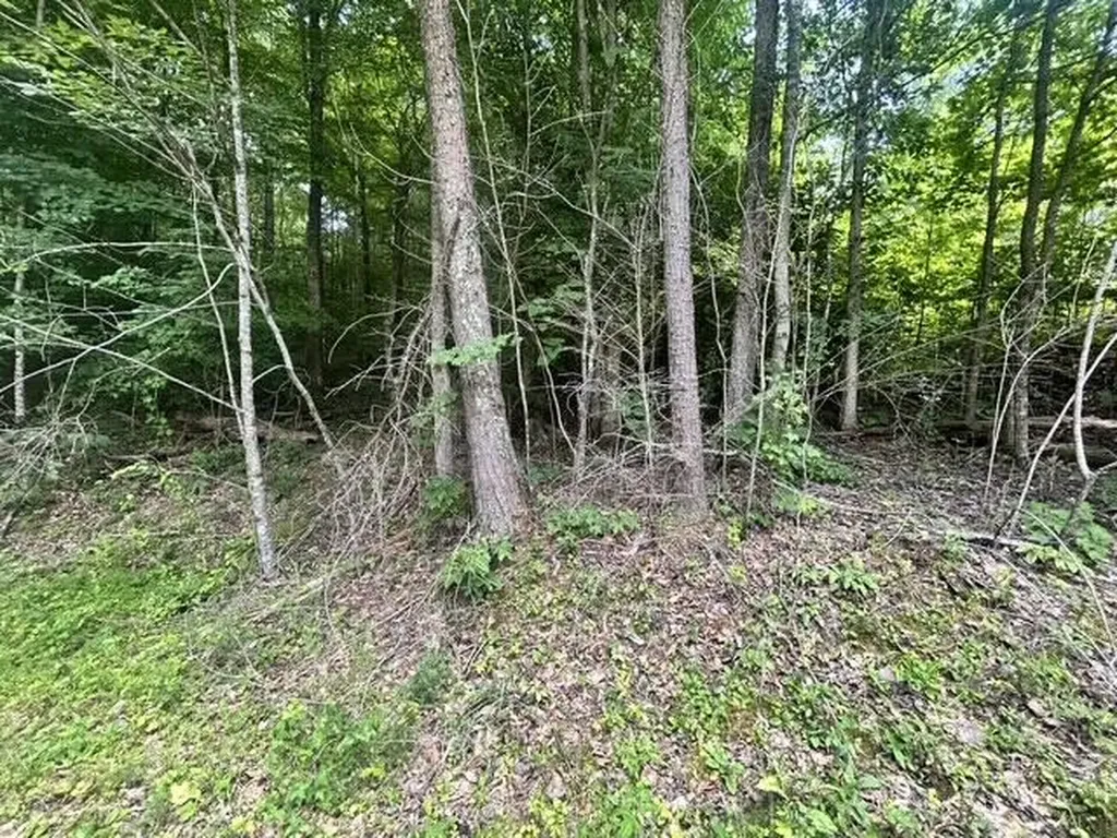 1 Godsey Avenue Whitley City KY 42653