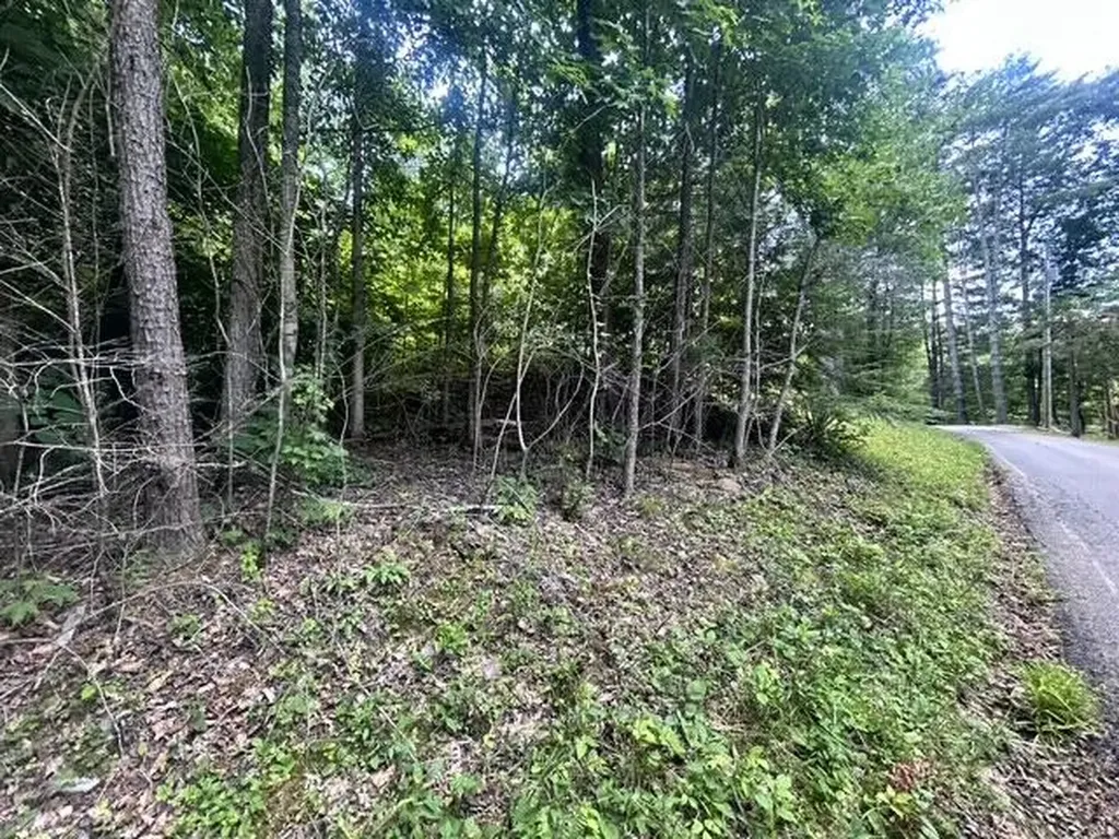 1 Godsey Avenue Whitley City KY 42653