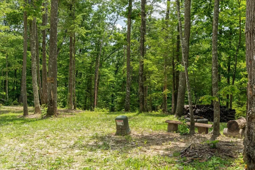 259 Heavenly Lane Frenchburg KY 40322
