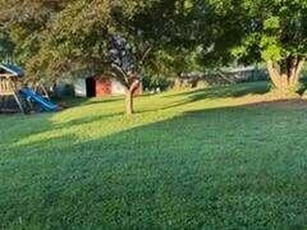 95 Lou Drive Stanford KY 40484