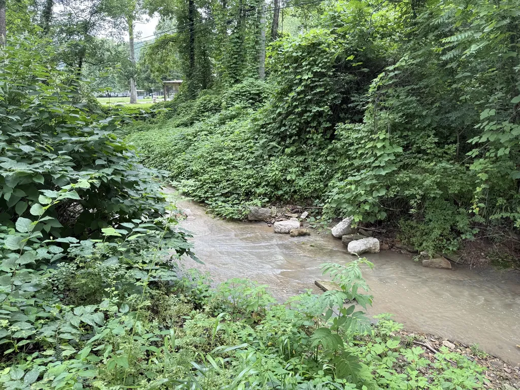 75 Cornwell Station Road Frenchburg KY 40322