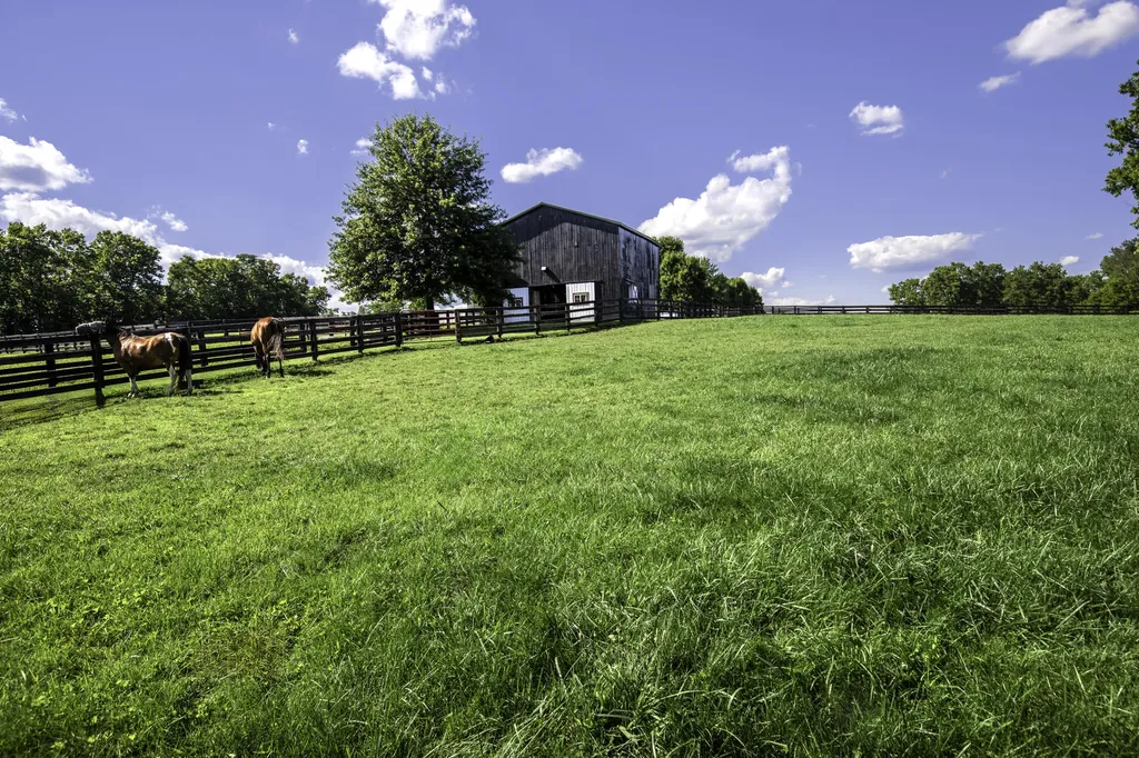 650 Delaney Ferry Road Versailles KY 40383