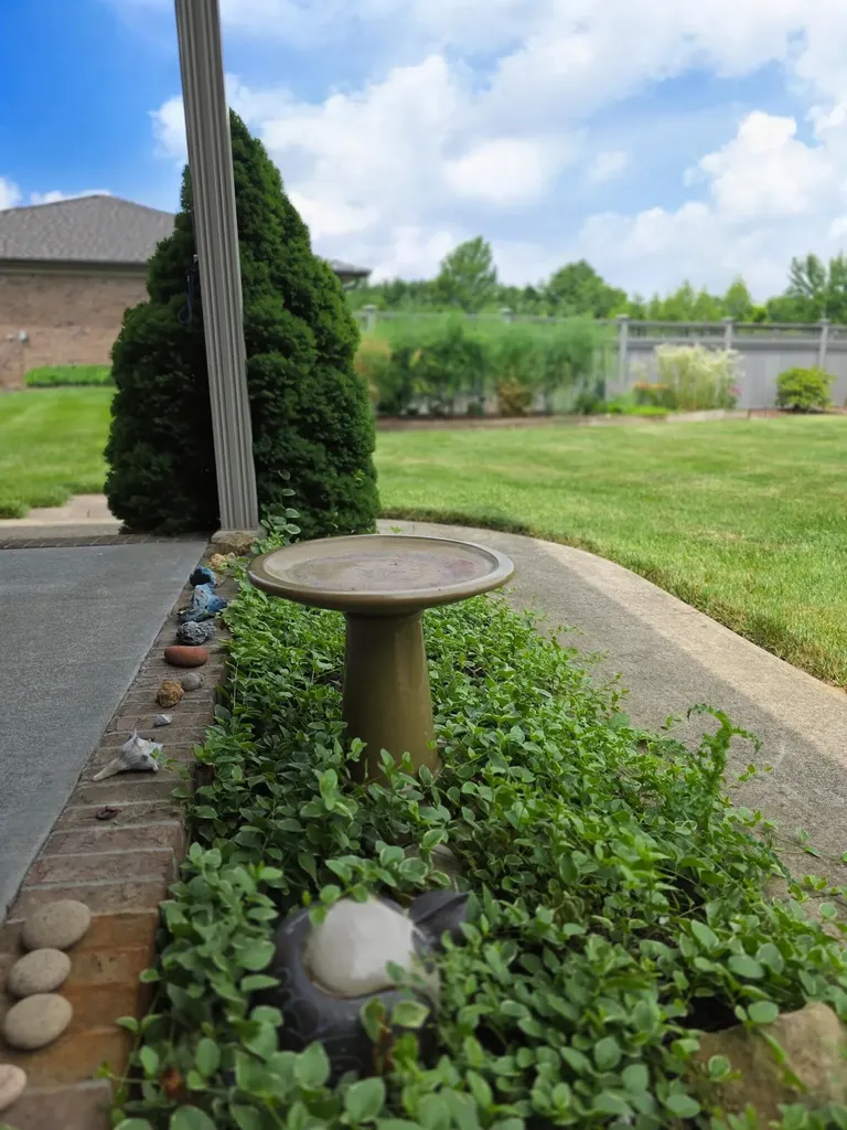 1504 Phyllis Drive Berea KY 40403