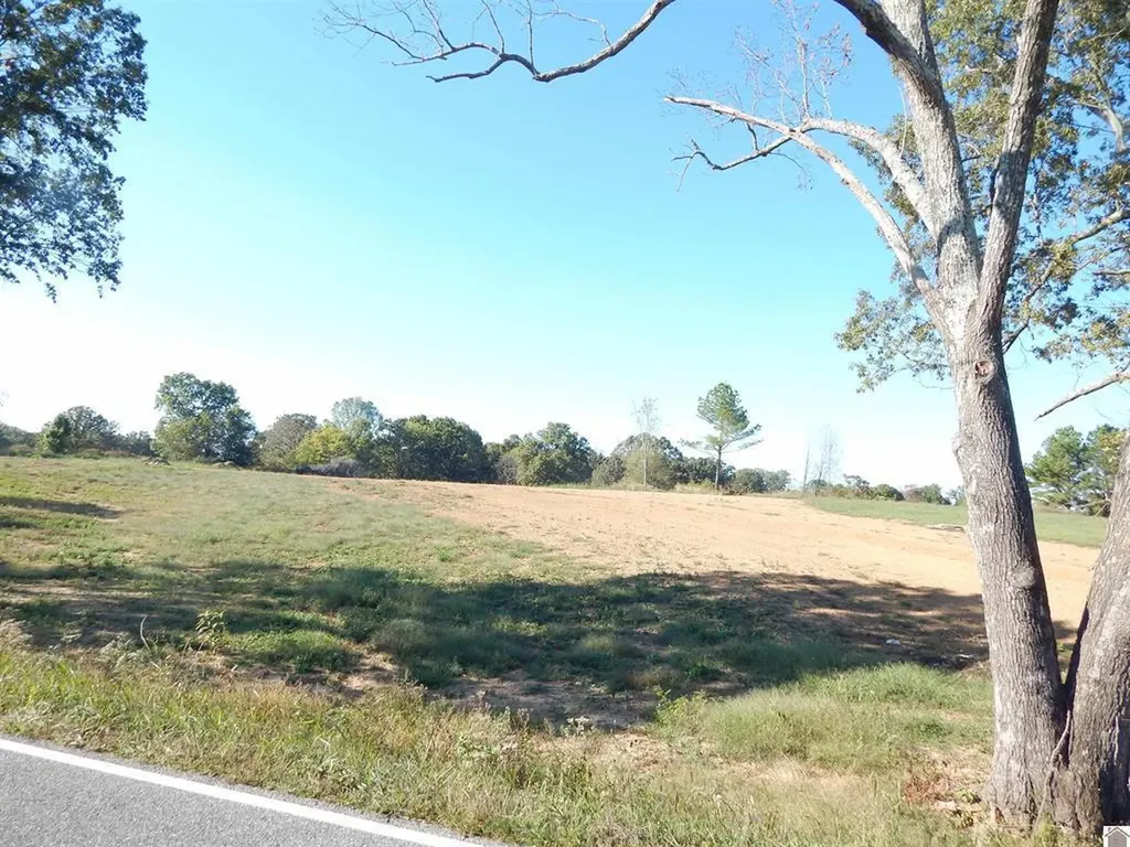 500 Little Bear Highway Gilbertsville KY 42044