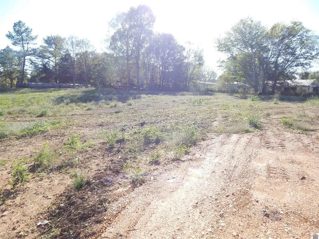 500 Little Bear Highway Gilbertsville KY 42044
