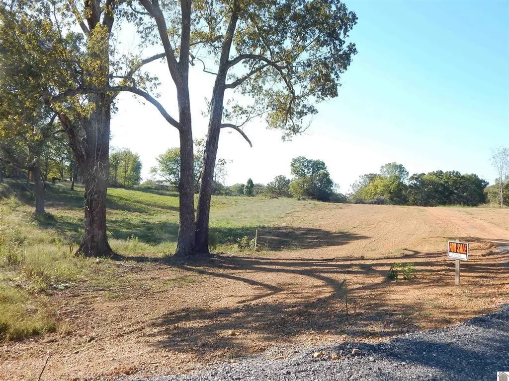 500 Little Bear Highway Gilbertsville KY 42044