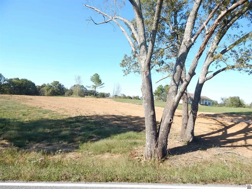500 Little Bear Highway Gilbertsville KY 42044