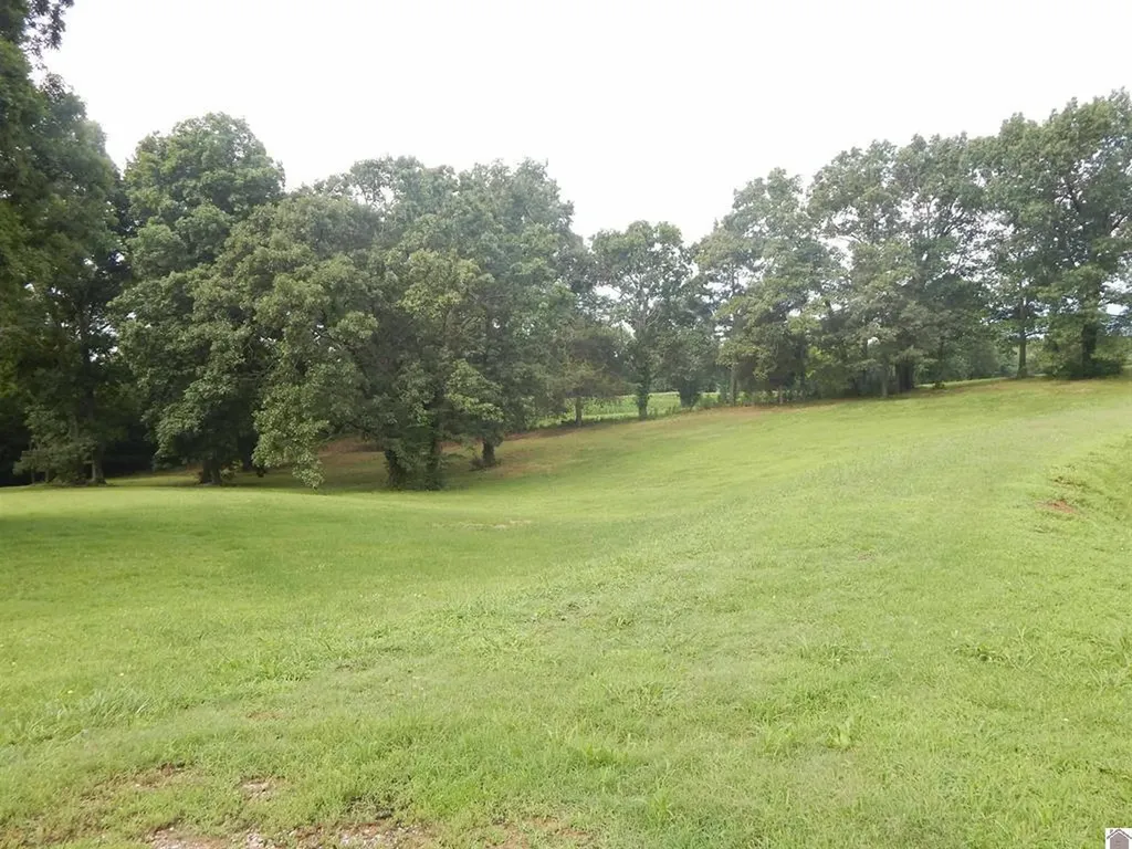 2510 Olive Hamlett Road Benton KY 42025
