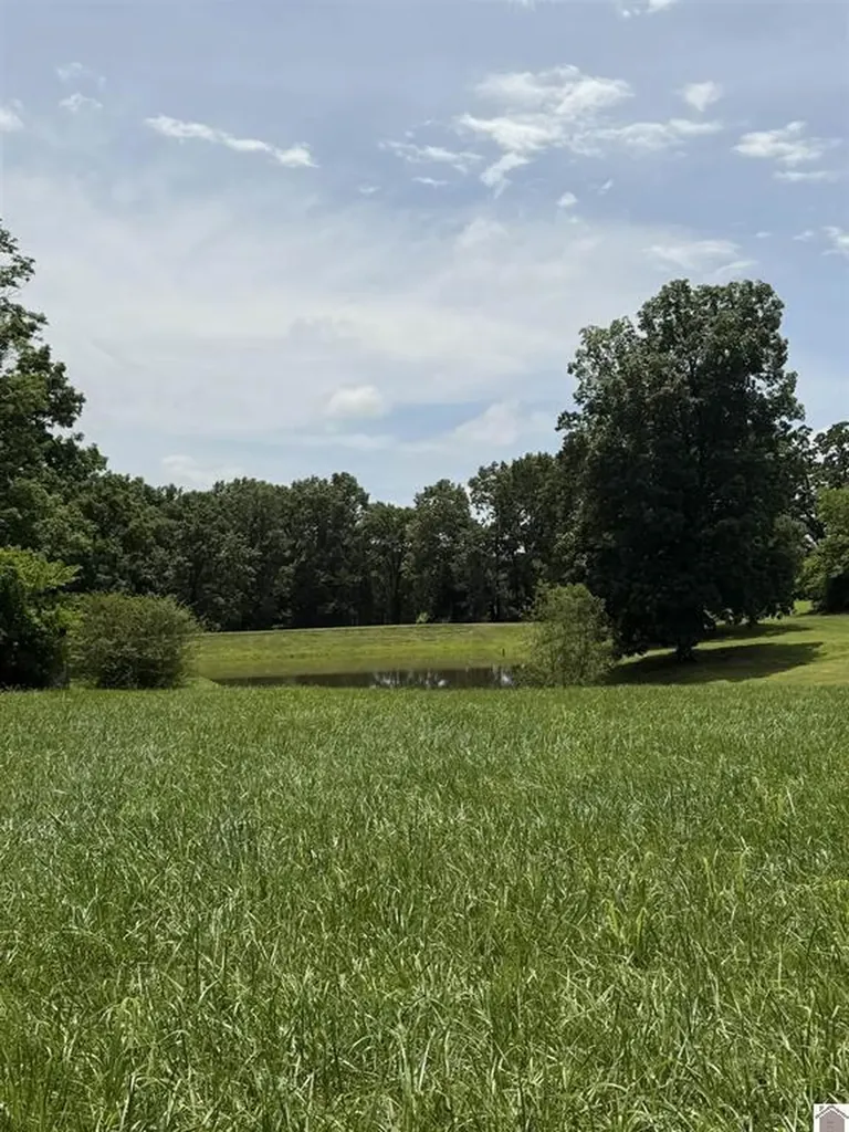 2510 Olive Hamlett Road Benton KY 42025