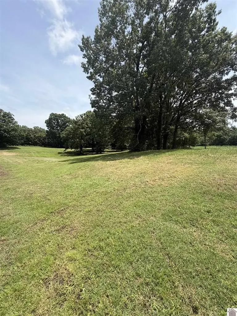 2510 Olive Hamlett Road Benton KY 42025