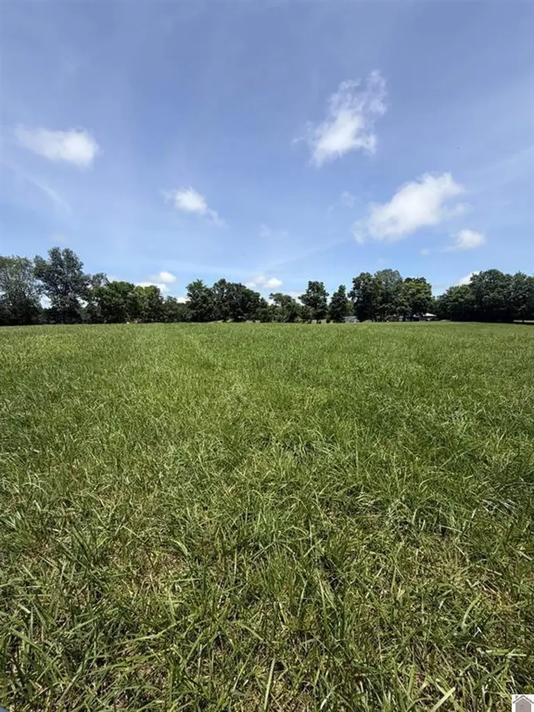 2510 Olive Hamlett Road Benton KY 42025