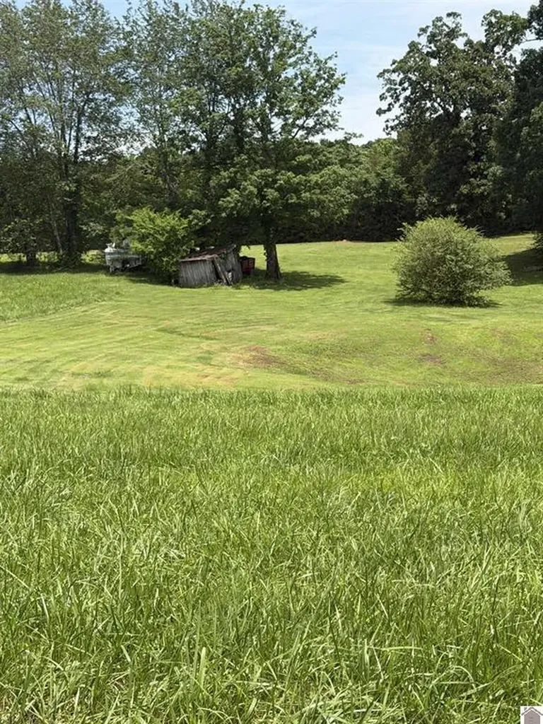 2510 Olive Hamlett Road Benton KY 42025