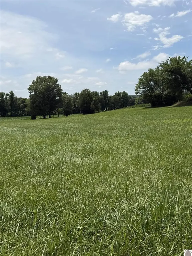 2510 Olive Hamlett Road Benton KY 42025