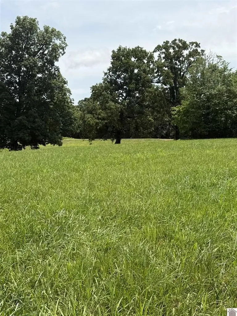 2510 Olive Hamlett Road Benton KY 42025