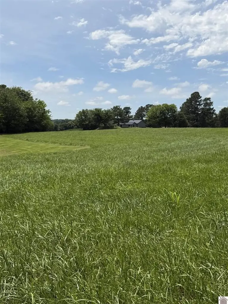 2510 Olive Hamlett Road Benton KY 42025