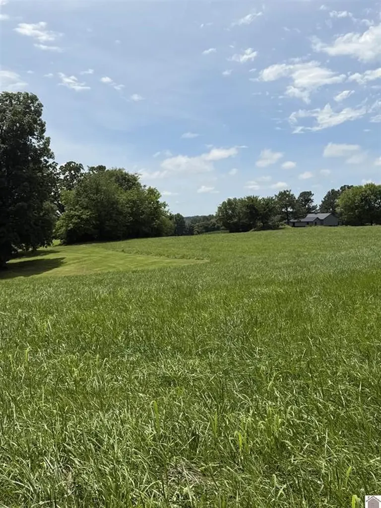 2510 Olive Hamlett Road Benton KY 42025