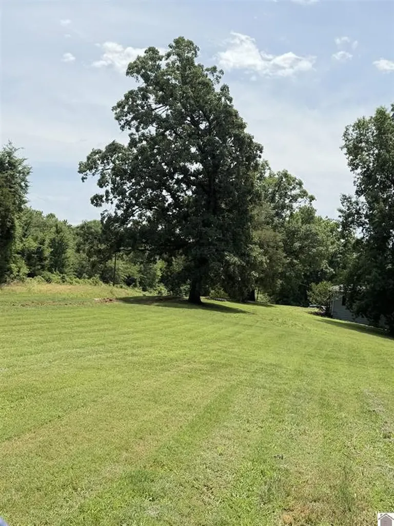 2510 Olive Hamlett Road Benton KY 42025