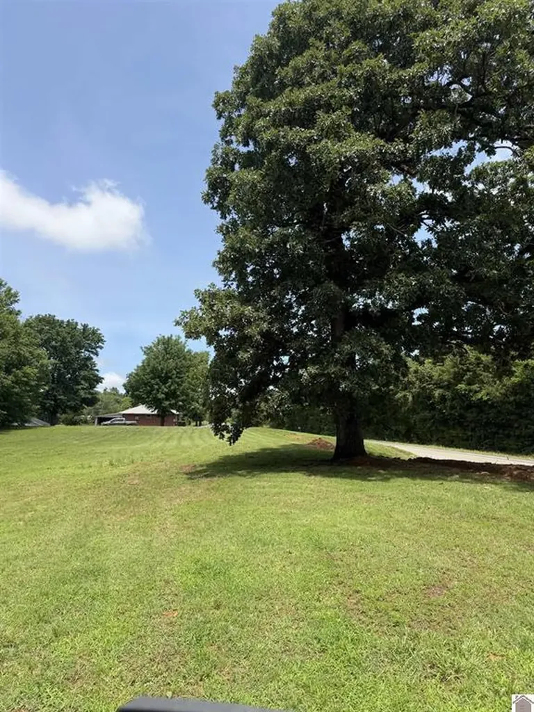 2510 Olive Hamlett Road Benton KY 42025